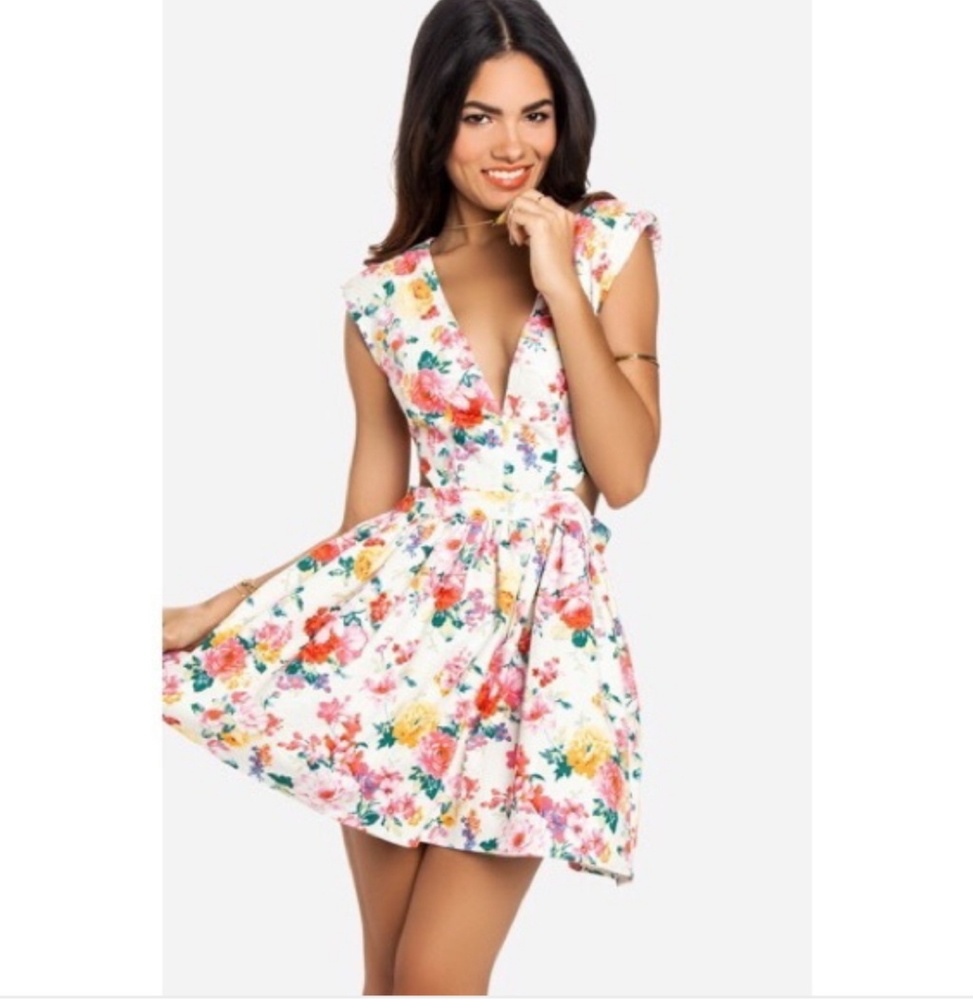 Mustard Seed Skater Floral Dress